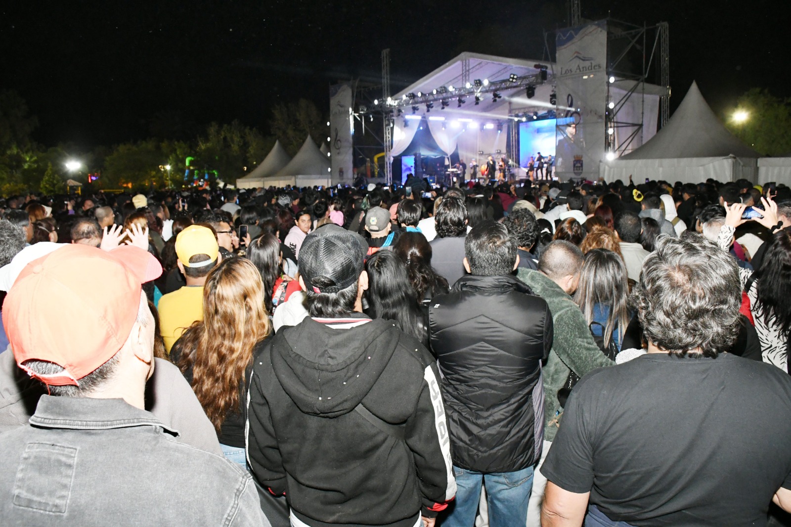 LOS ANDES: Cerca de 45 mil personas asistieron a una semana de Chaya en Los Andes
