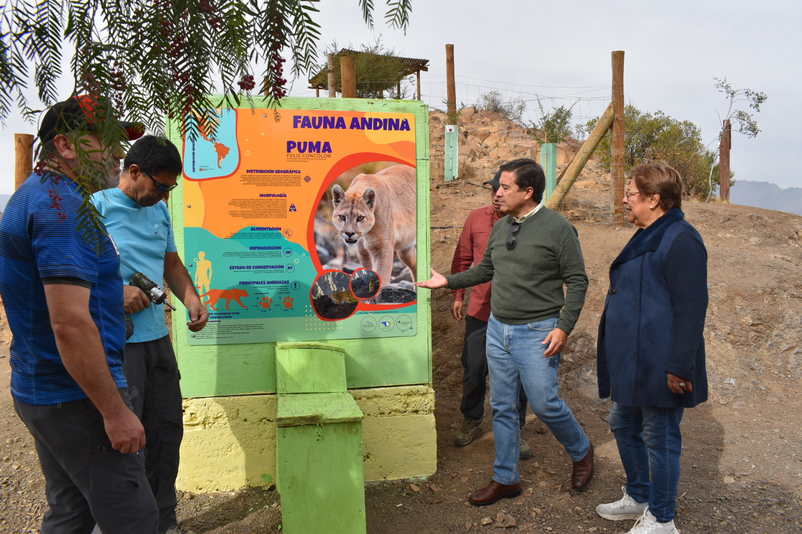LOS ANDES: Agrupación ambiental City Green celebra la implementación de nuevo proyecto en el Cerro de la Virgen