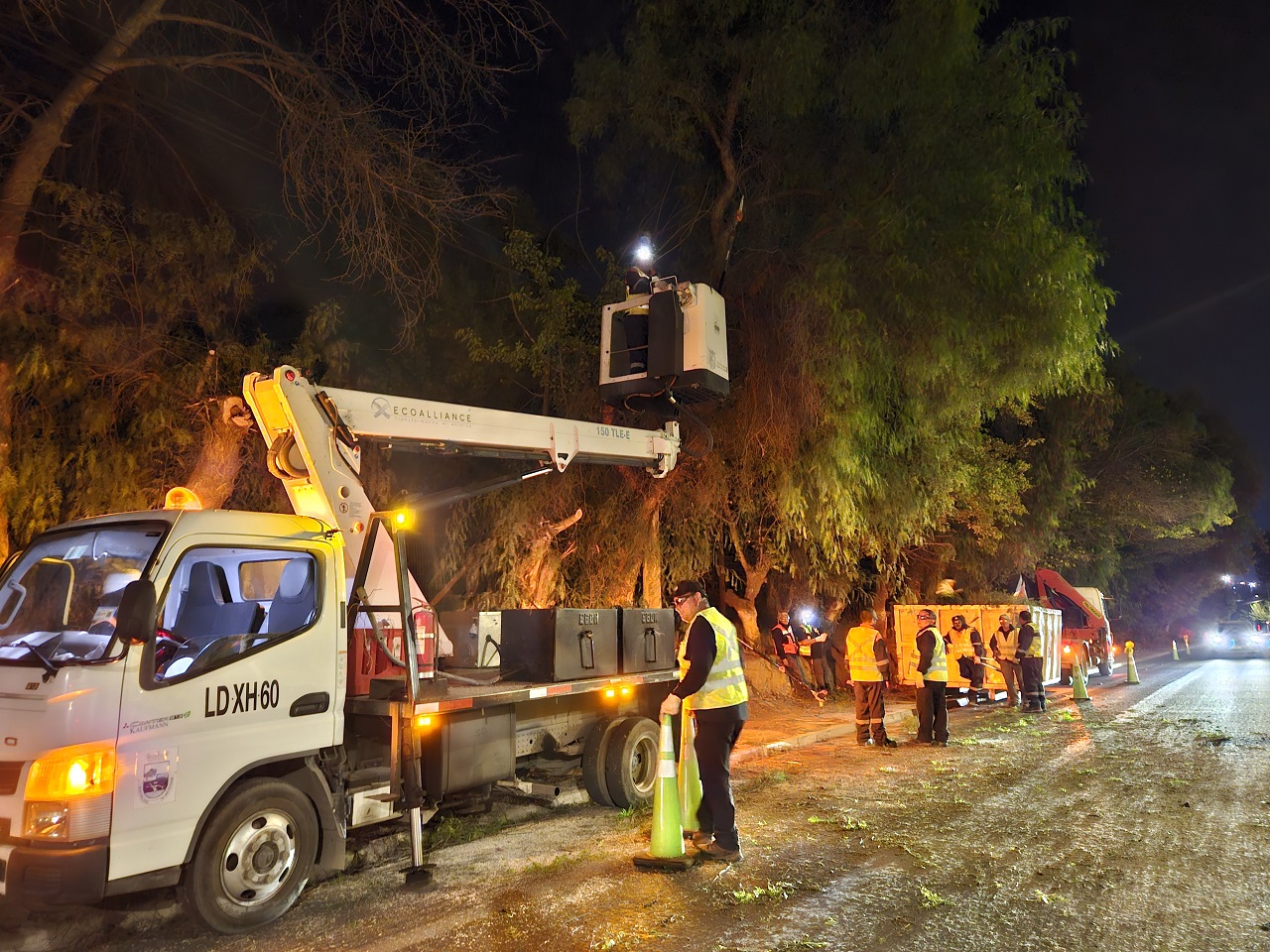 SAN ESTEBAN: Municipio de San Esteban realizó intenso operativo de poda y limpieza nocturna en Avenida Alessandri