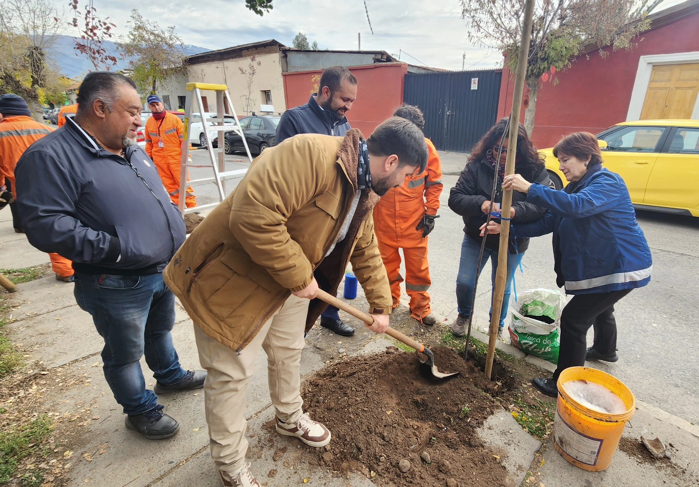 SAN FELIPE: Municipio plantará 633 árboles en el damero fundacional de San Felipe
