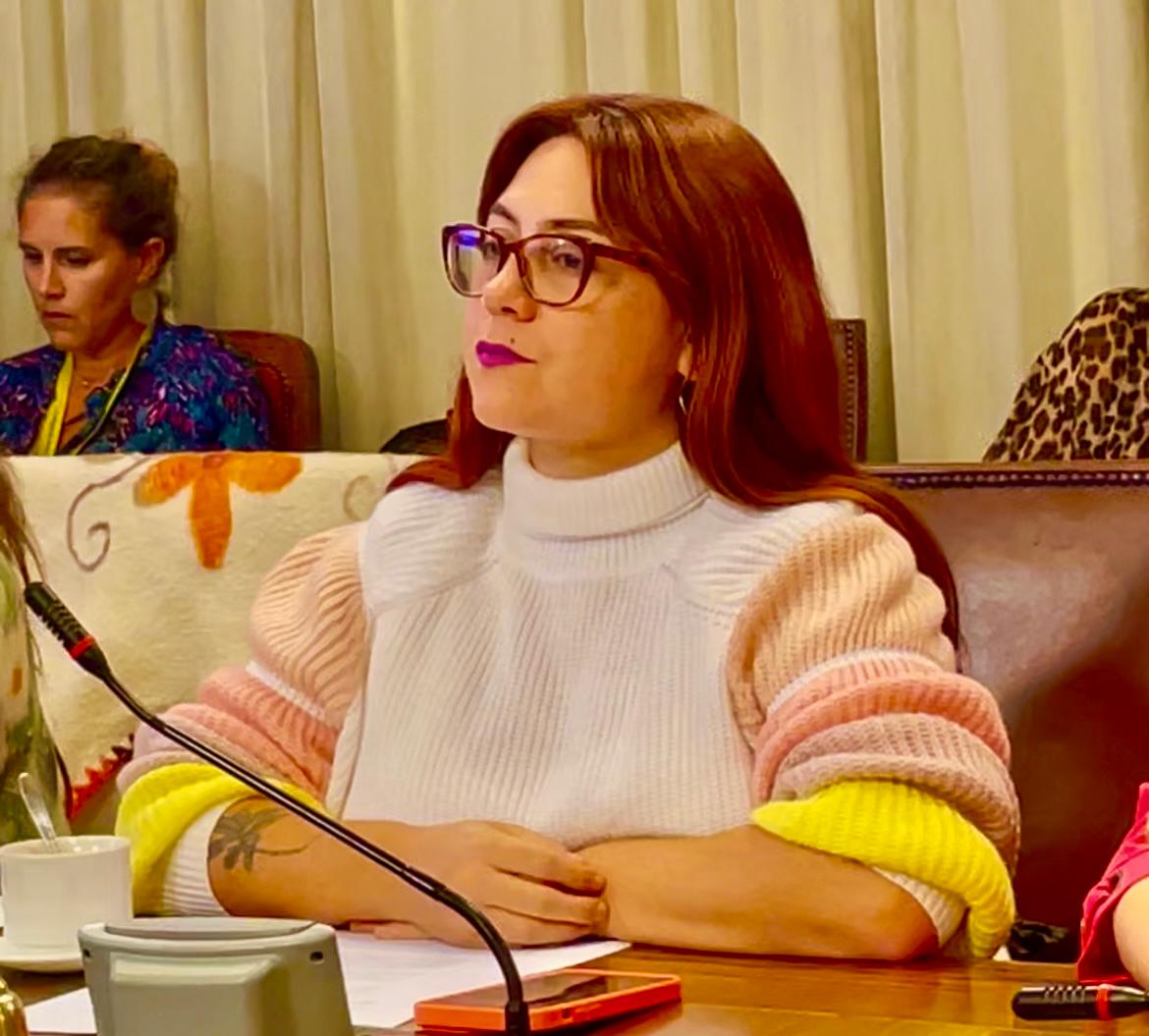 CALLE LARGA: Diputada Bello solicita estudio para entregar terreno a agrupación Pro Animal Calle Larga