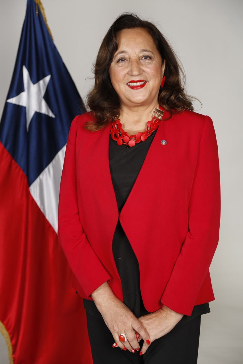 REGIÓN: Consejo Regional aprueba la Estrategia Regional de Desarrollo 2025-2035 para Valparaíso