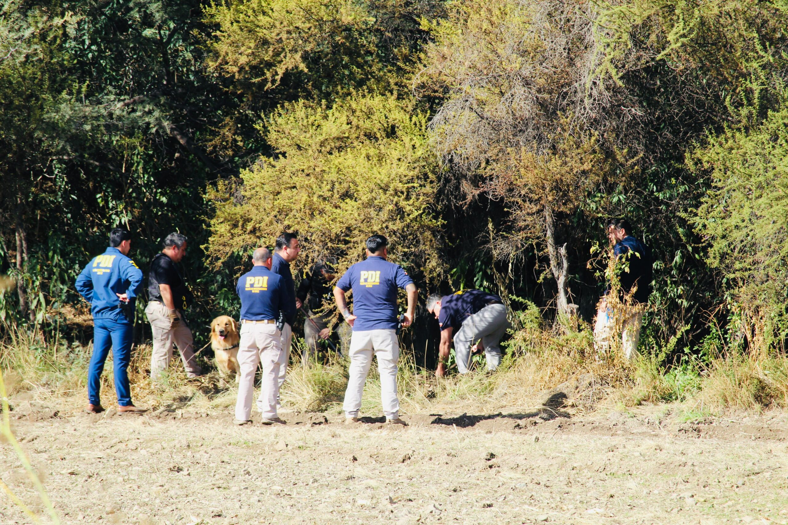 LOS ANDES: Brigada De Homicidios confirma hallazgo de un cadáver en portezuelo amarillo: Uno de los detenidos habría confesado el crimen
