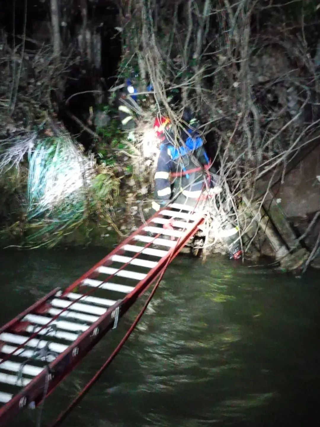 LOS ANDES: Bomberos de la Segunda Compañía “Pompa Roma” rescatan a perrito atrapado en canal de regadío