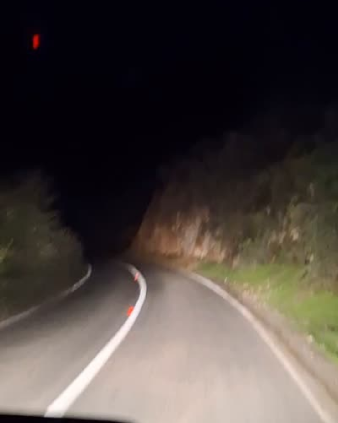SAN ESTEBAN: [VIDEO] Precaución conductores: avistamientos de pumas en sectores alto de San Esteban