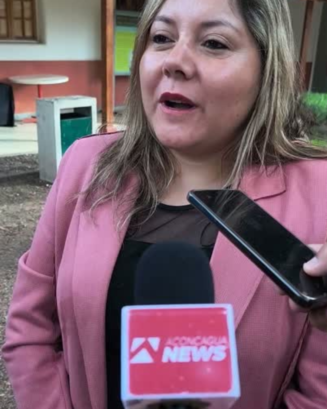 CALLE LARGA: COSAM Los Andes certifica a equipos educativos para fortalecer la salud mental escolar