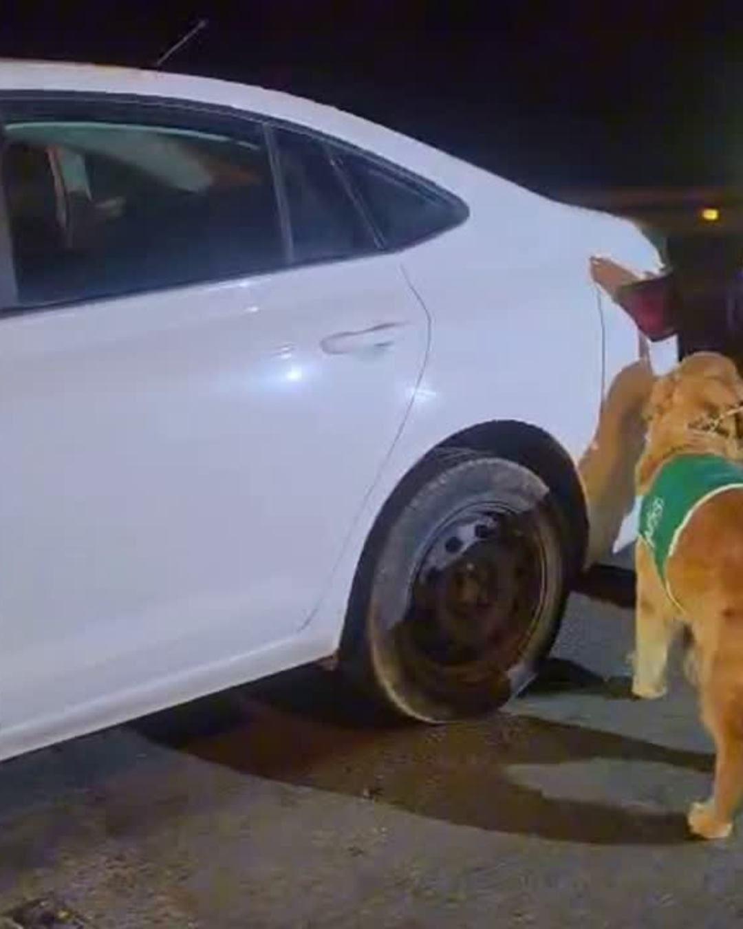 CATEMU: [VIDEO] Detienen a hombre de Catemu con más de seis kilos de marihuana en Ruta 5 Norte