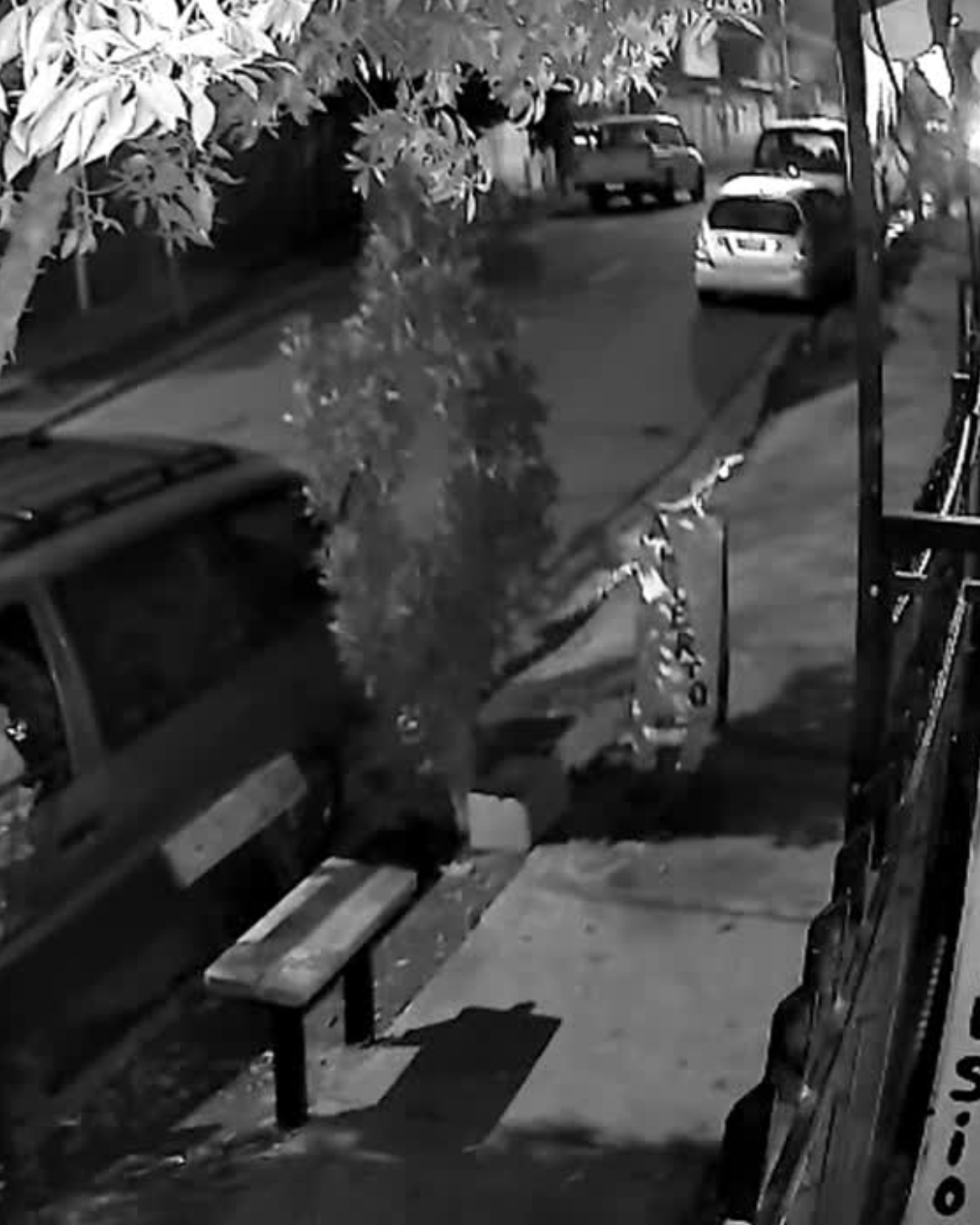 LOS ANDES: [VIDEO] Disparos generan temor en Villa Los Jardines de Los Andes