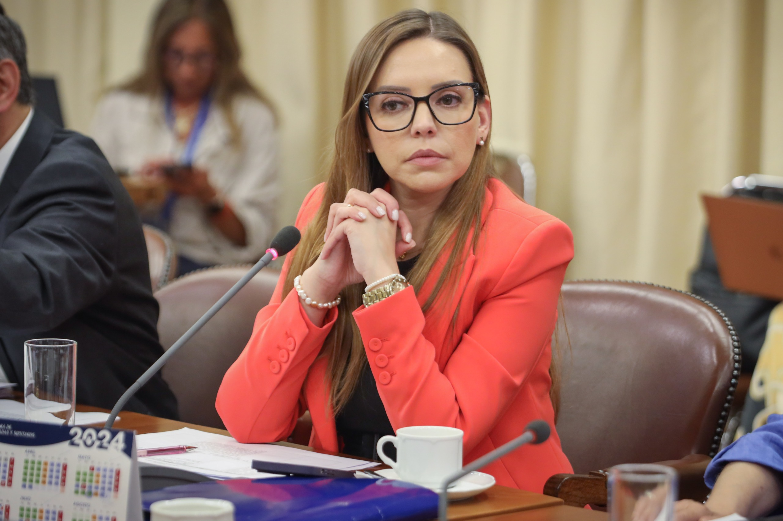 VALLE DE ACONCAGUA: Diputada Camila Flores denuncia inacción del Ministerio de Salud frente a quiebre de stock de fórmulas lácteas especiales