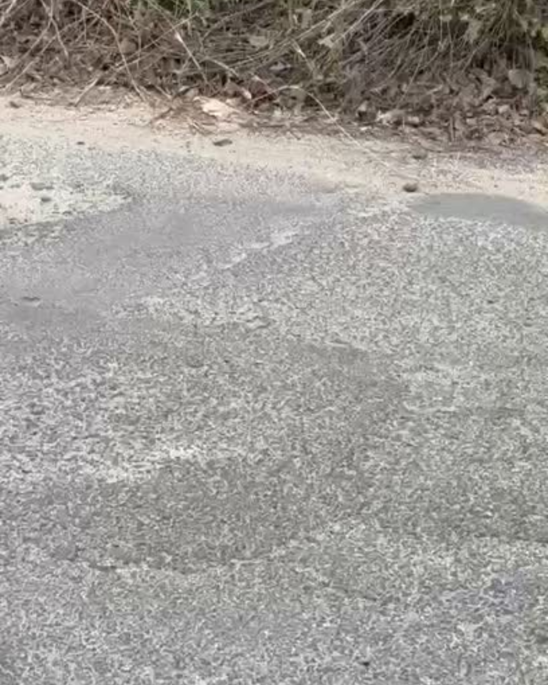 CALLE LARGA: [VIDEO] Vecinos denuncian grave deterioro en calle Tabolango