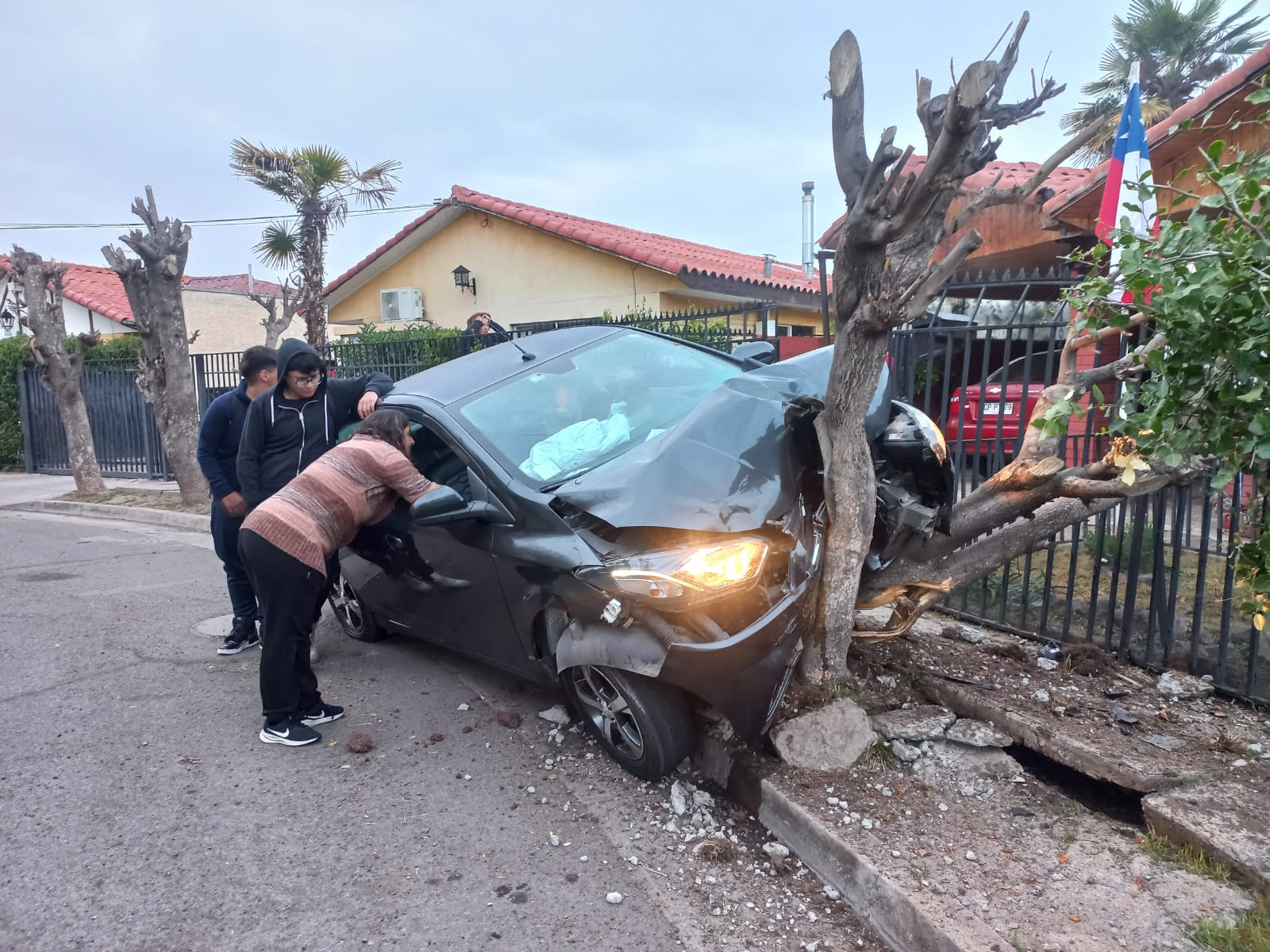 SAN FELIPE: Conductor ebrio deja a escolar herida y termina incrustado en un árbol: huyó del hospital cuando le realizaban la alcoholemia. (FOTO: Gentileza Radio Aconcagua).