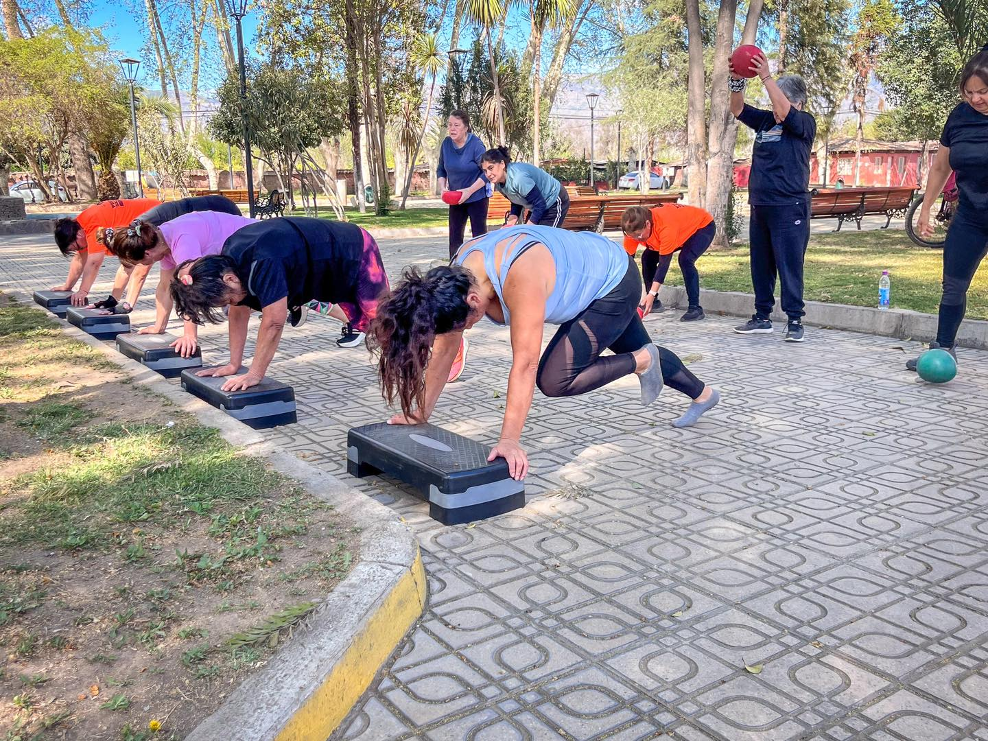 RINCONADA: Cesfam de Rinconada celebró el día de la prevención con jornada en la plaza de armas