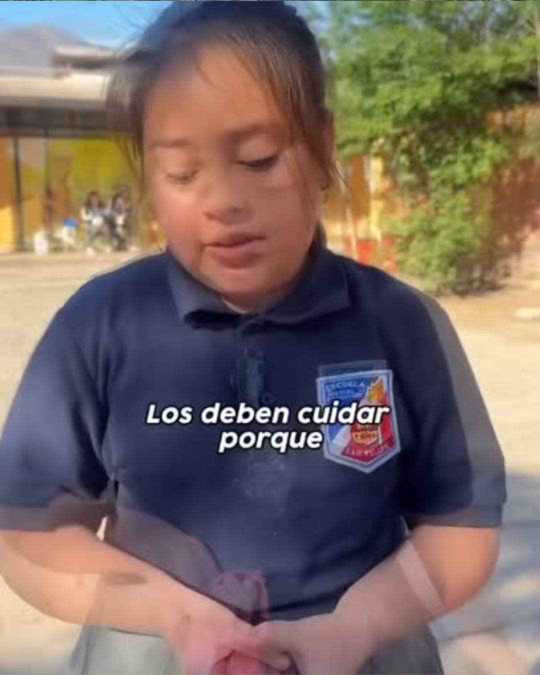 SAN FELIPE: [VIDEO] Estudiantes de la Escuela Manuel Rodríguez aprenden sobre Tenencia Responsable junto a sus mascotas