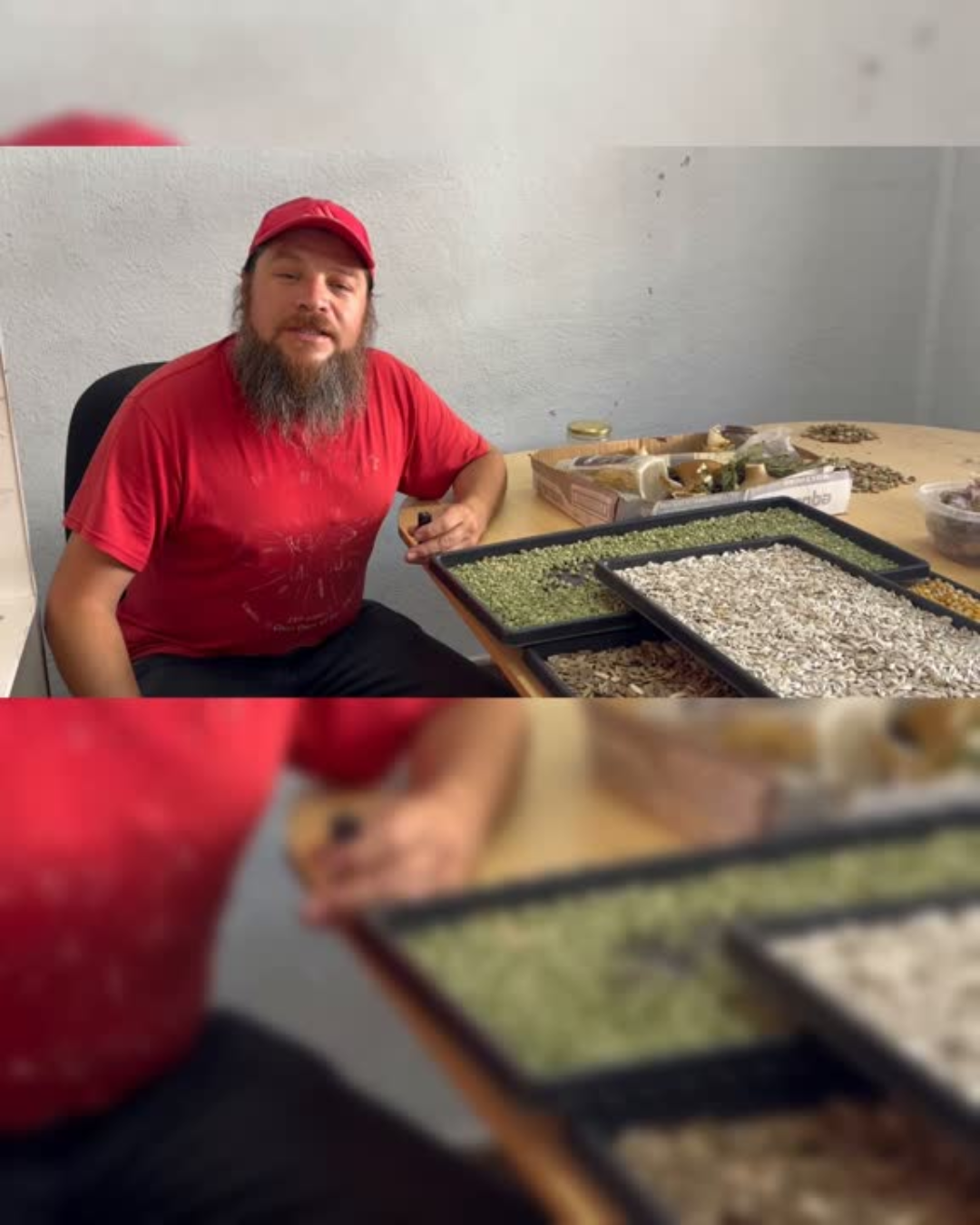 CALLE LARGA: [VIDEO] Calle Larga realizará el Primer Intercambio de Semillas “Una Semilla, un Conocimiento”