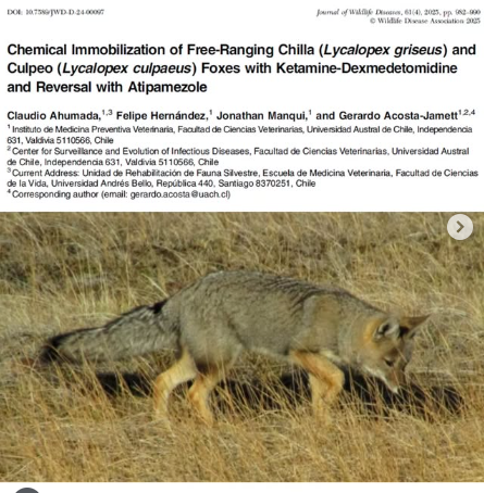 PANQUEHUE: Investigador de Panquehue publica estudio en prestigiosa revista internacional