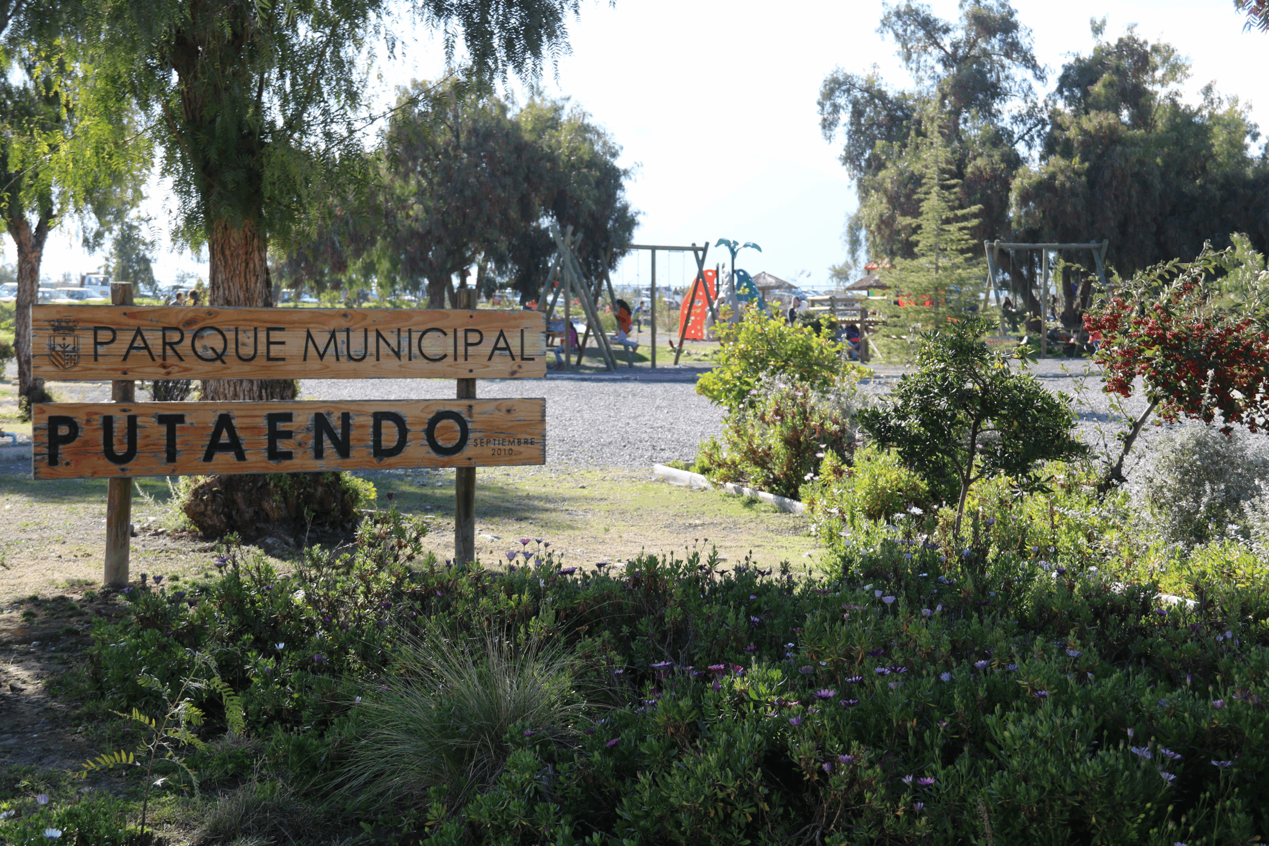 PUTAENDO: Realizarán Gran Exposición de Caballos de Raza Chilena en Parque Municipal de Putaendo