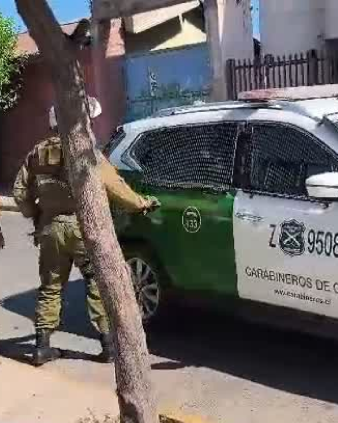 SAN FELIPE: [VIDEO] Carabineros detiene a sujeto con amplio prontuario policial tras robo en vivienda de adulta mayor en San Felipe