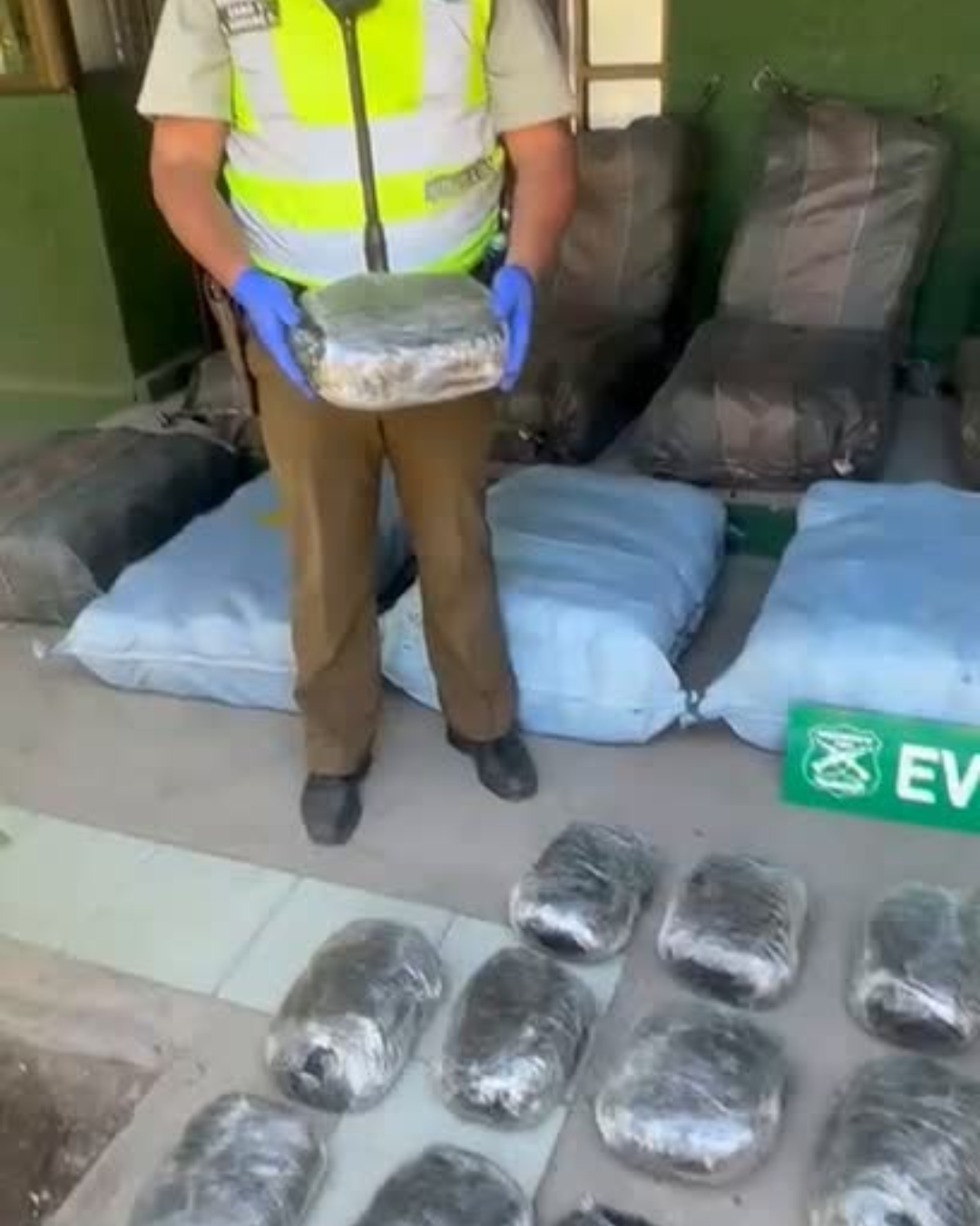LLAY LLAY: [VIDEO] Carabineros incauta más de 510 kilos de marihuana en control vehicular en Llay Llay