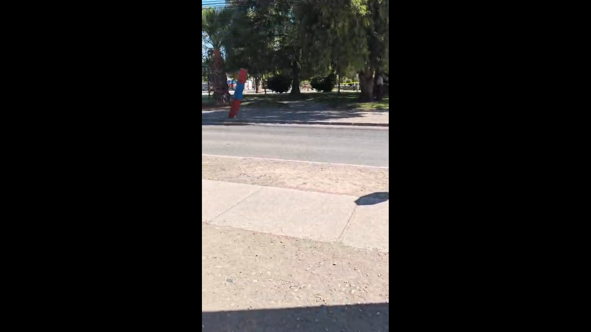 SAN FELIPE: Impacto en San Felipe: Ciudadano Haitiano es encontrado sin vida en plena alameda Yungay