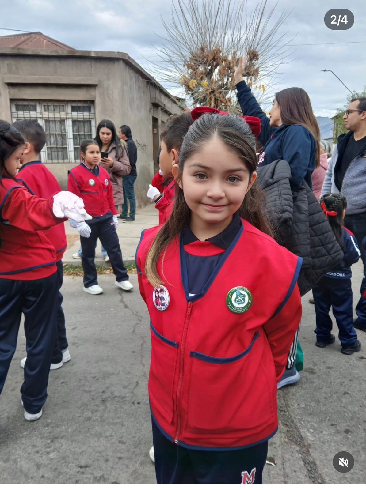 LOS ANDES: [VIDEO] Niña de 10 años del Liceo Mixto de Los Andes lucha por su vida tras ataque de perros en Calera de Tango