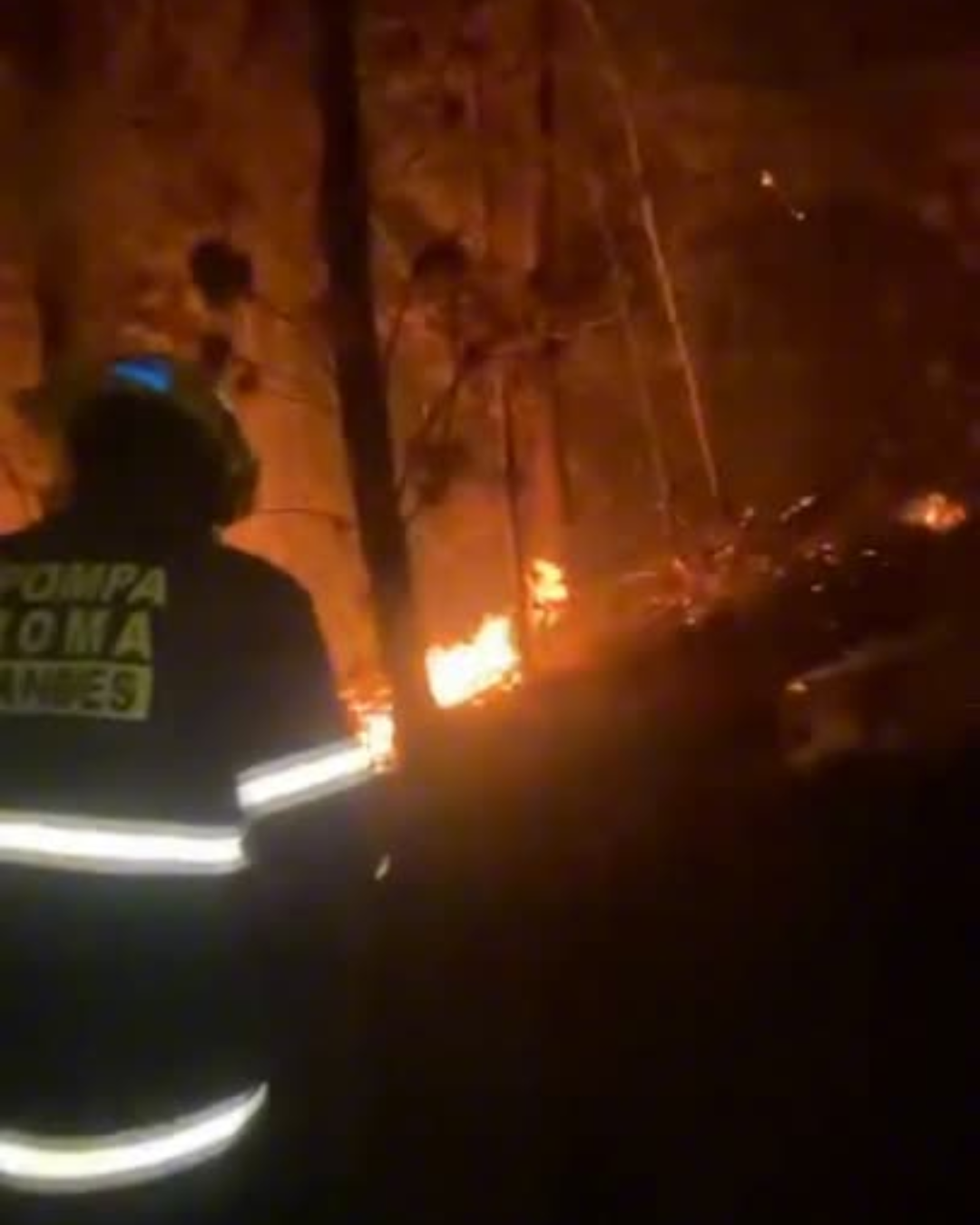 LOS ANDES: [VIDEO] 22 voluntarios y voluntarias de la pompa roma combaten incendios forestales en Ránquil