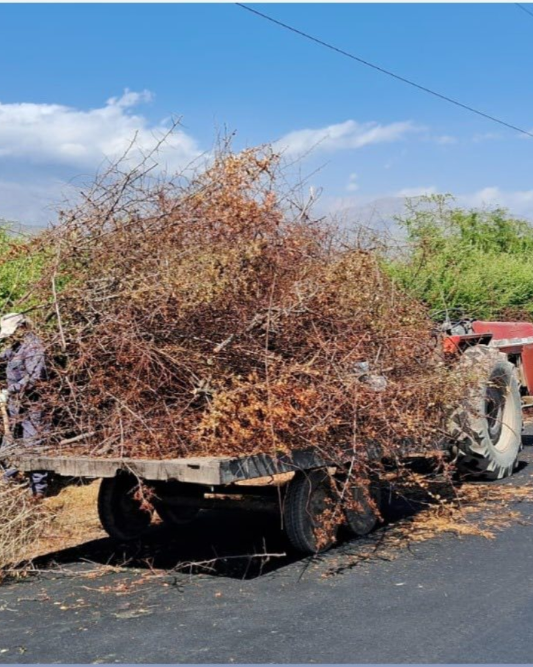 SAN FELIPE: Provincia de San Felipe refuerza trabajos preventivos ante riesgo de incendios forestales
