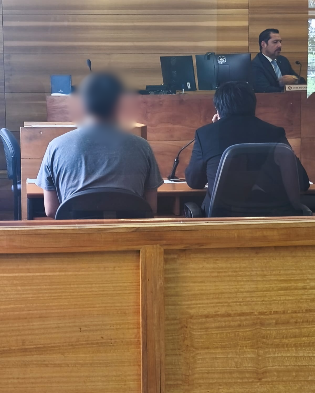 LOS ANDES: Denuncia anónima en Los Andes deja al descubierto plantas y casi medio kilo de cannabis al interior de un domicilio