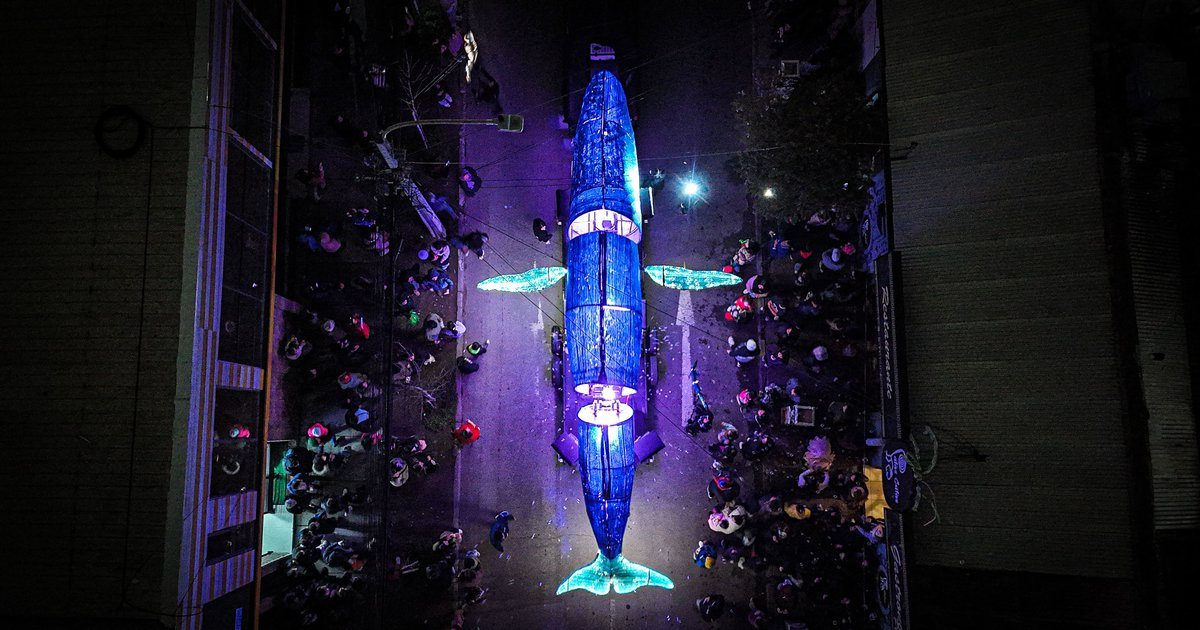 SAN FELIPE: Una ballena gigante y un pasacalles estelar marcarán las noches culturales de enero en San Felipe
