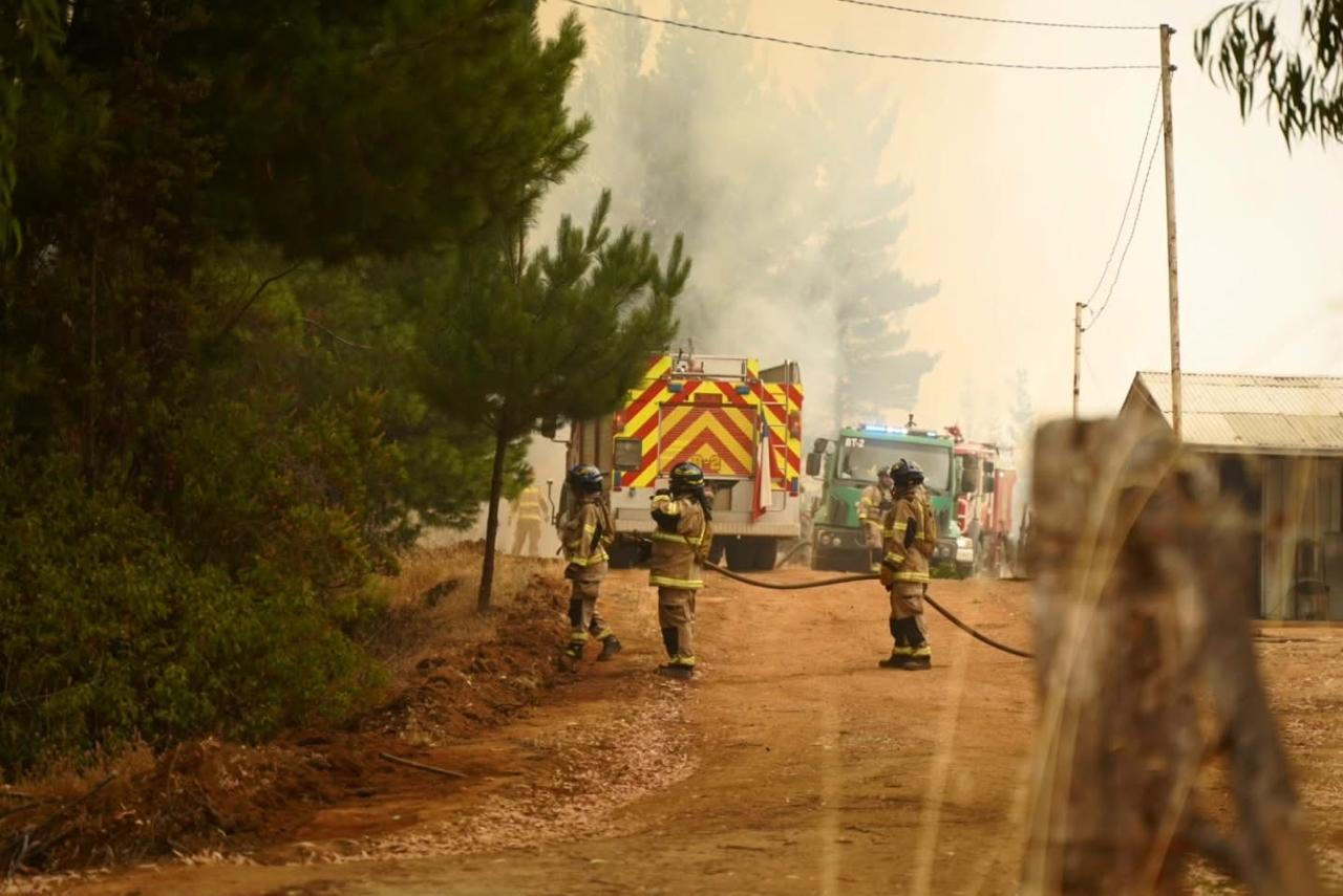 SANTA MARÍA: Bomberos de Santa María combaten incendio forestal en el sur del país