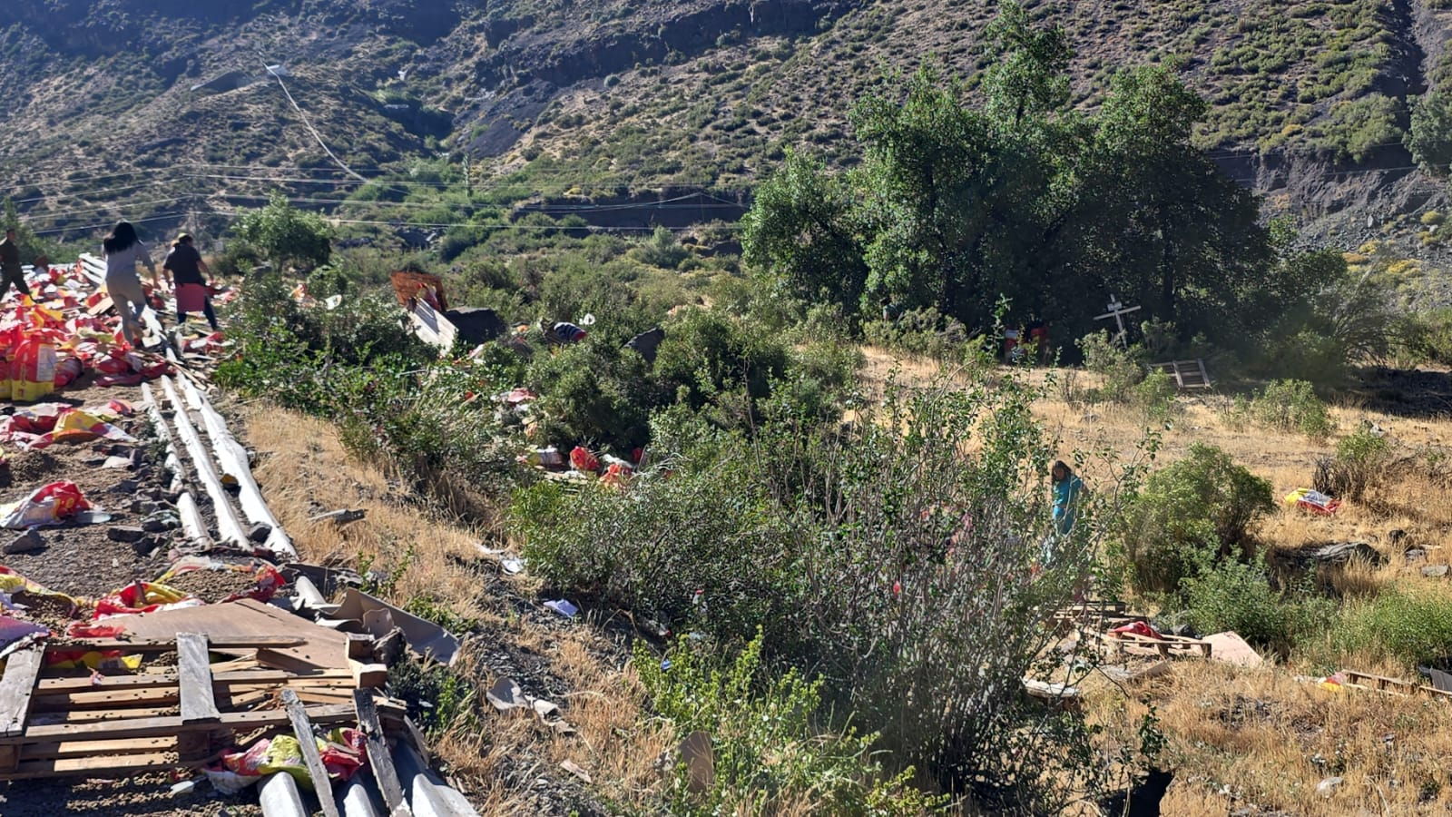 LOS ANDES: Reportan saqueos a camión accidentado en guardia vieja: carga de alimento para perros quedó dispersa en el lugar