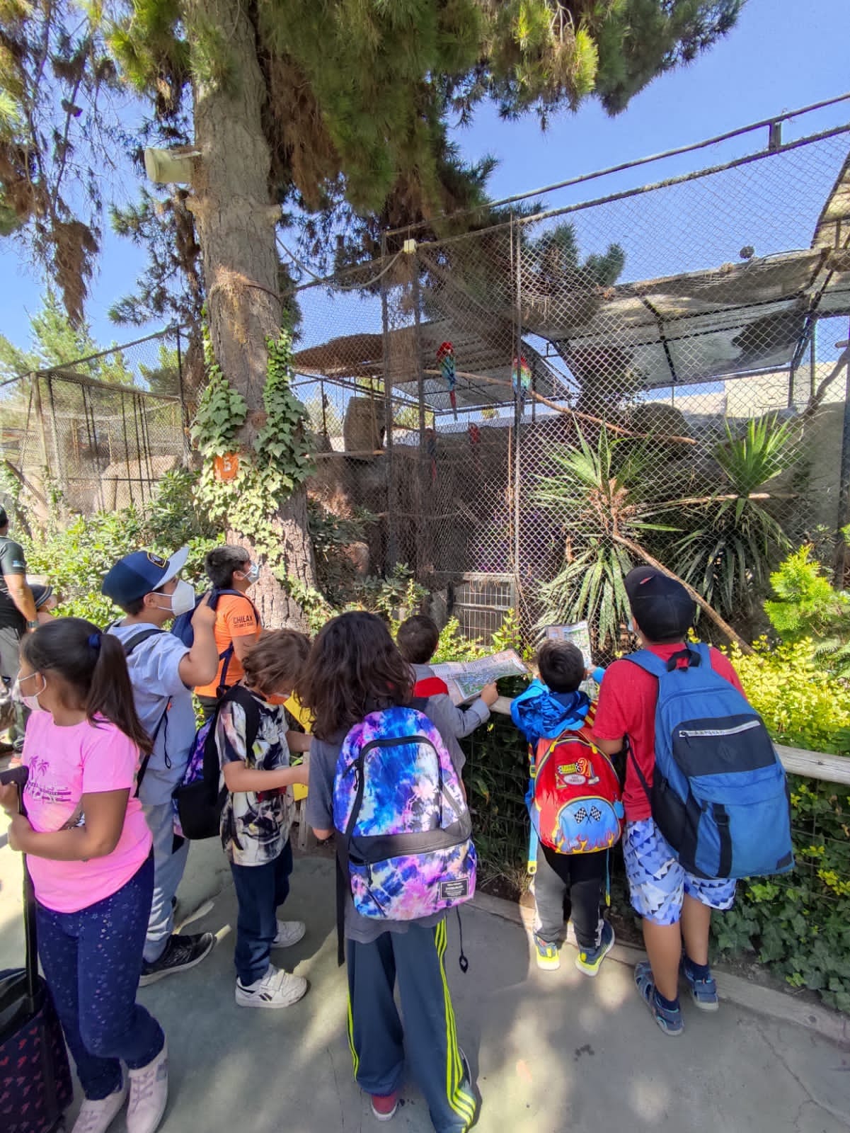 SAN ESTEBAN: Niñas y niños de la Escuela de Verano disfrutaron del BuinZoo y KidZania 3 SAN ESTEBAN: Niñas y niños de la Escuela de Verano disfrutaron del BuinZoo y KidZania