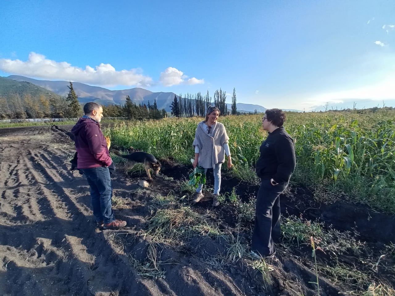 PANQUEHUE: Agricultora de Panquehue tiene exitosa producción agroecológica basada en saberes ancestrales 2 PANQUEHUE: Agricultora de Panquehue tiene exitosa producción agroecológica basada en saberes ancestrales