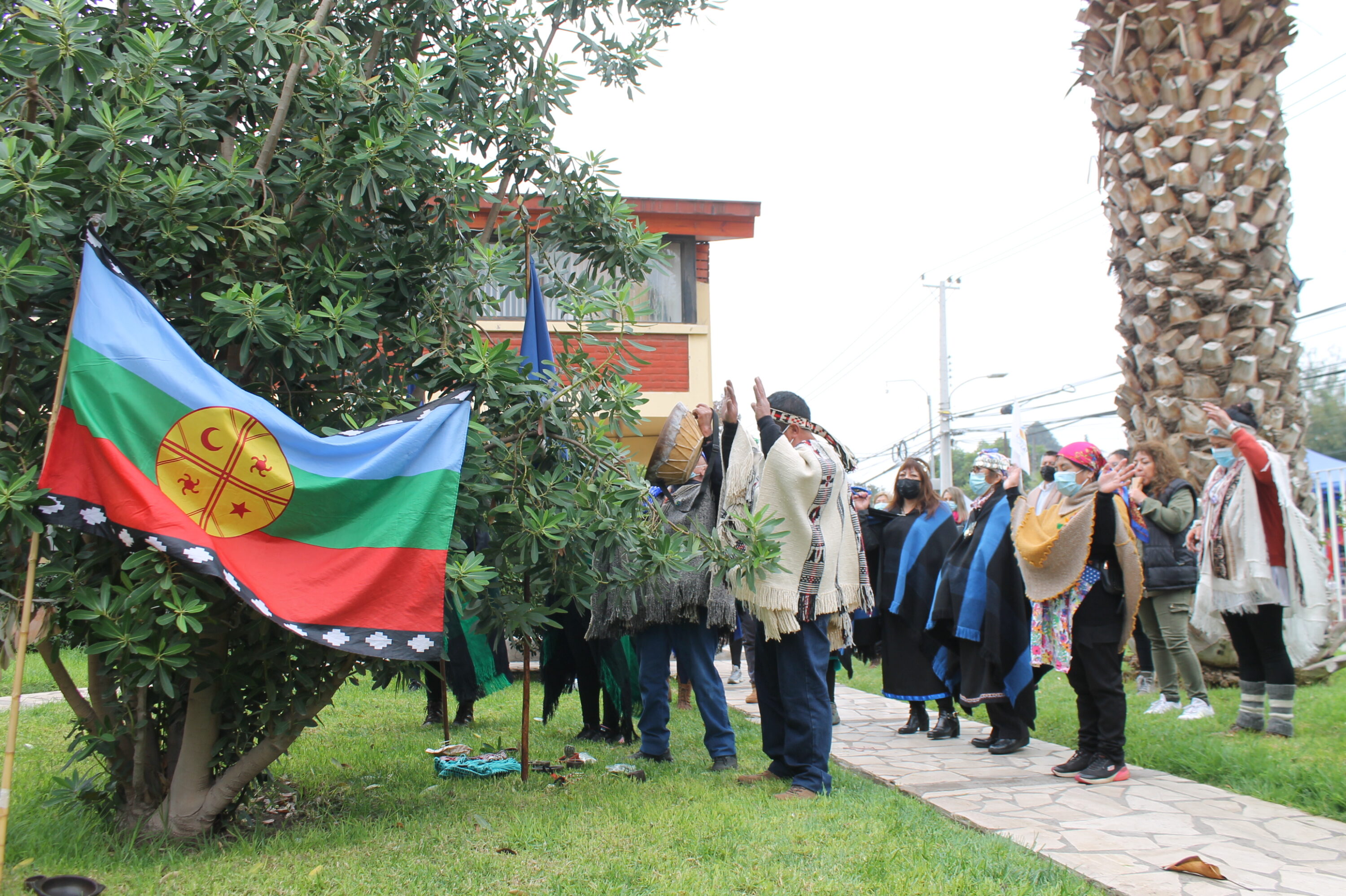 LLAY LLAY: Ruta de la Medicina Ancestral sigue su recorrido en la comuna de Llay Llay 1 LLAY LLAY: Ruta de la Medicina Ancestral sigue su recorrido en la comuna de Llay Llay