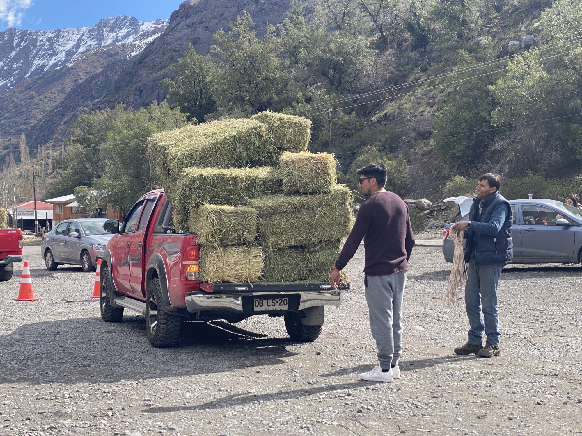 CODELCO: Andina entrega forraje animal en apoyo de ganaderos de la provincia de Los Andes 1 CODELCO: Andina entrega forraje animal en apoyo de ganaderos de la provincia de Los Andes