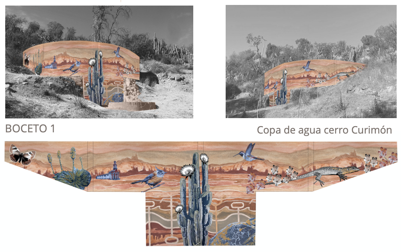CURIMÓN: Vota por el diseño final del mural para la copa de agua del Cerro San Francisco 1 CURIMÓN: Vota por el diseño final del mural para la copa de agua del Cerro San Francisco