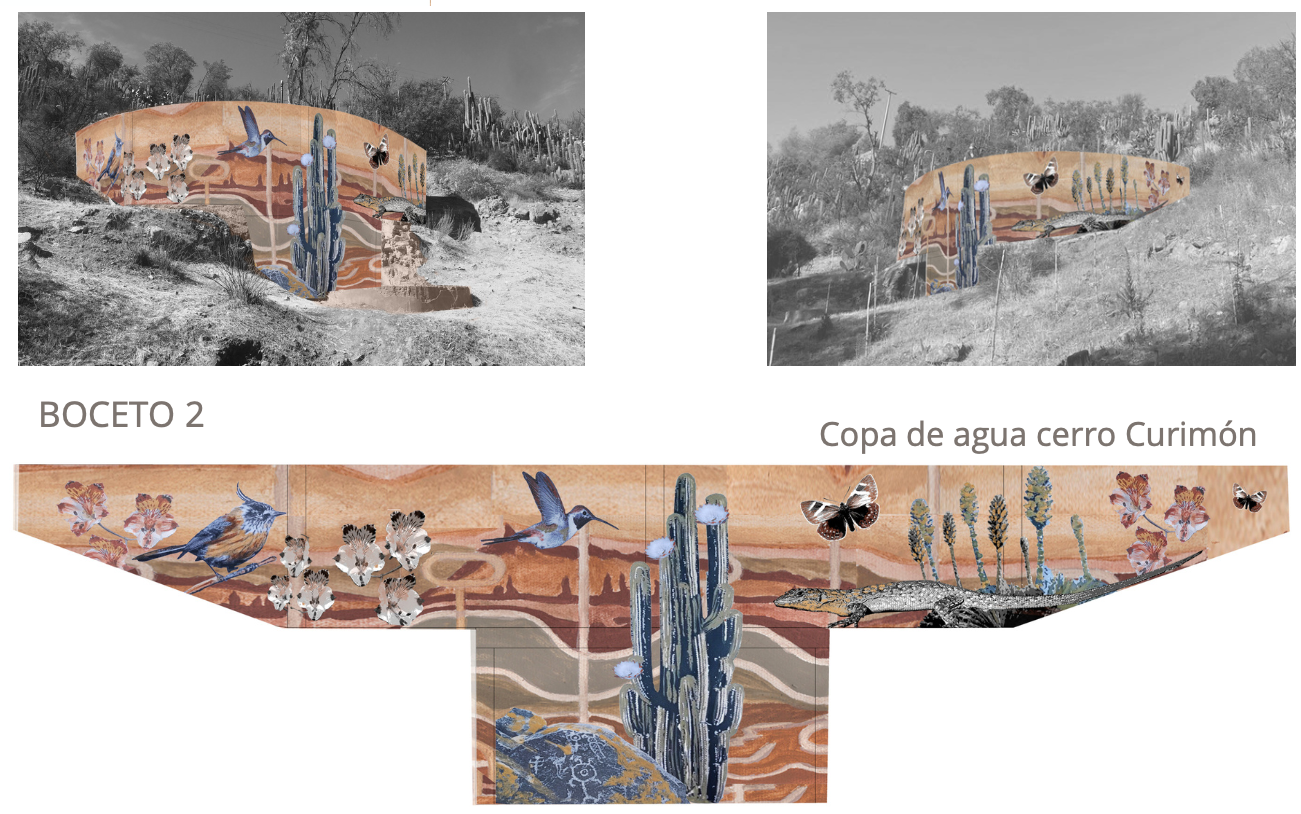 CURIMÓN: Vota por el diseño final del mural para la copa de agua del Cerro San Francisco 2 CURIMÓN: Vota por el diseño final del mural para la copa de agua del Cerro San Francisco