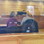 LOS ANDES: Mujer fue detenida en Villa El Horizonte tras dañar un auto, robar especies de una casa y amenazar a Carabineros