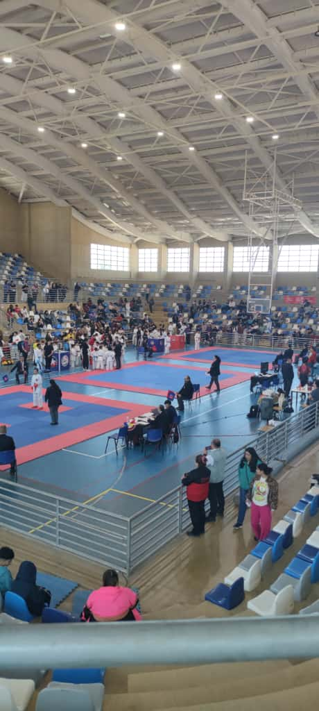 LLAY LLAY: Dojo Dragones Blancos brilló en clasificatorio zonal y asegura presencia masiva en el Nacional 2026