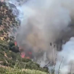 CATEMU: [VIDEO] Incendio forestal obliga a evacuar sector San Carlos Alto en Catemu