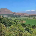 CATEMU: [VIDEO] Desde las 14:26 horas se obliga a evacuar sector San Carlos Alto de Catemu por incendio forestal