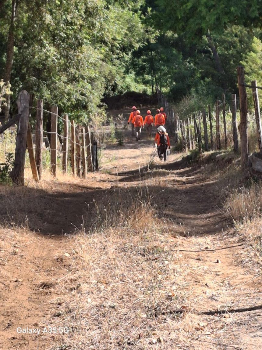SAN ESTEBAN: Equipo de Búsqueda y Rescate Agreste del Cuerpo de Bomberos de San Esteban participa en operativo por joven con TEA extraviado en Ñuble