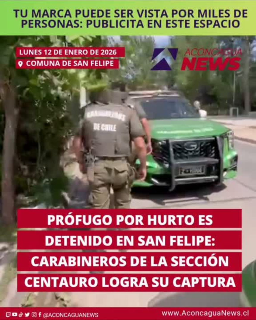 SAN FELIPE: [VIDEO] Prófugo por hurto es detenido en San Felipe: Carabineros de la sección Centauro logra su captura