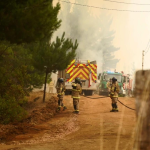 SANTA MARÍA: Bomberos de Santa María combaten incendio forestal en el sur del país