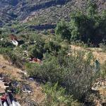 LOS ANDES: Reportan saqueos a camión accidentado en guardia vieja: carga de alimento para perros quedó dispersa en el lugar