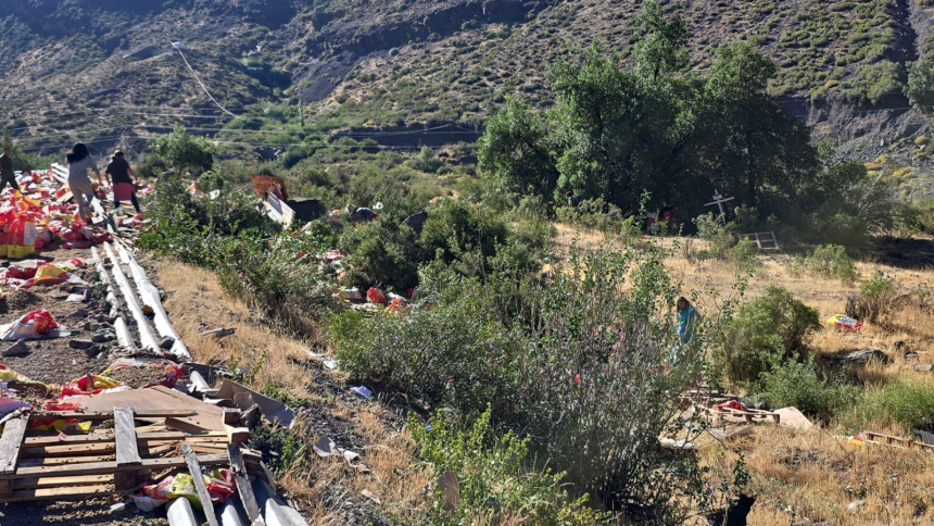 LOS ANDES: Reportan saqueos a camión accidentado en guardia vieja: carga de alimento para perros quedó dispersa en el lugar