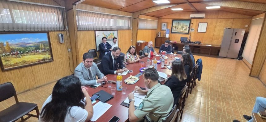 LLAY LLAY: Consejo Comunal de Seguridad Pública aborda problemáticas locales y proyectos de seguridad