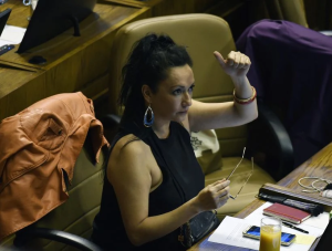 NACIONAL: Diputada Santibáñez: “retirar el reglamento de la ley cholito es una mala señal para el bienestar animal”