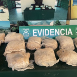 NOGALES: Pasajero de bus fue detenido tras ser sorprendido con casi 15 kilos de marihuana: olor lo delató