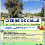 PUTAENDO: Anuncian cortes y desvíos de tránsito por tala preventiva de árbol de gran tamaño