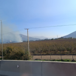 LLAY LLAY: Se reporta incendio de pastizales en sector La Estancilla